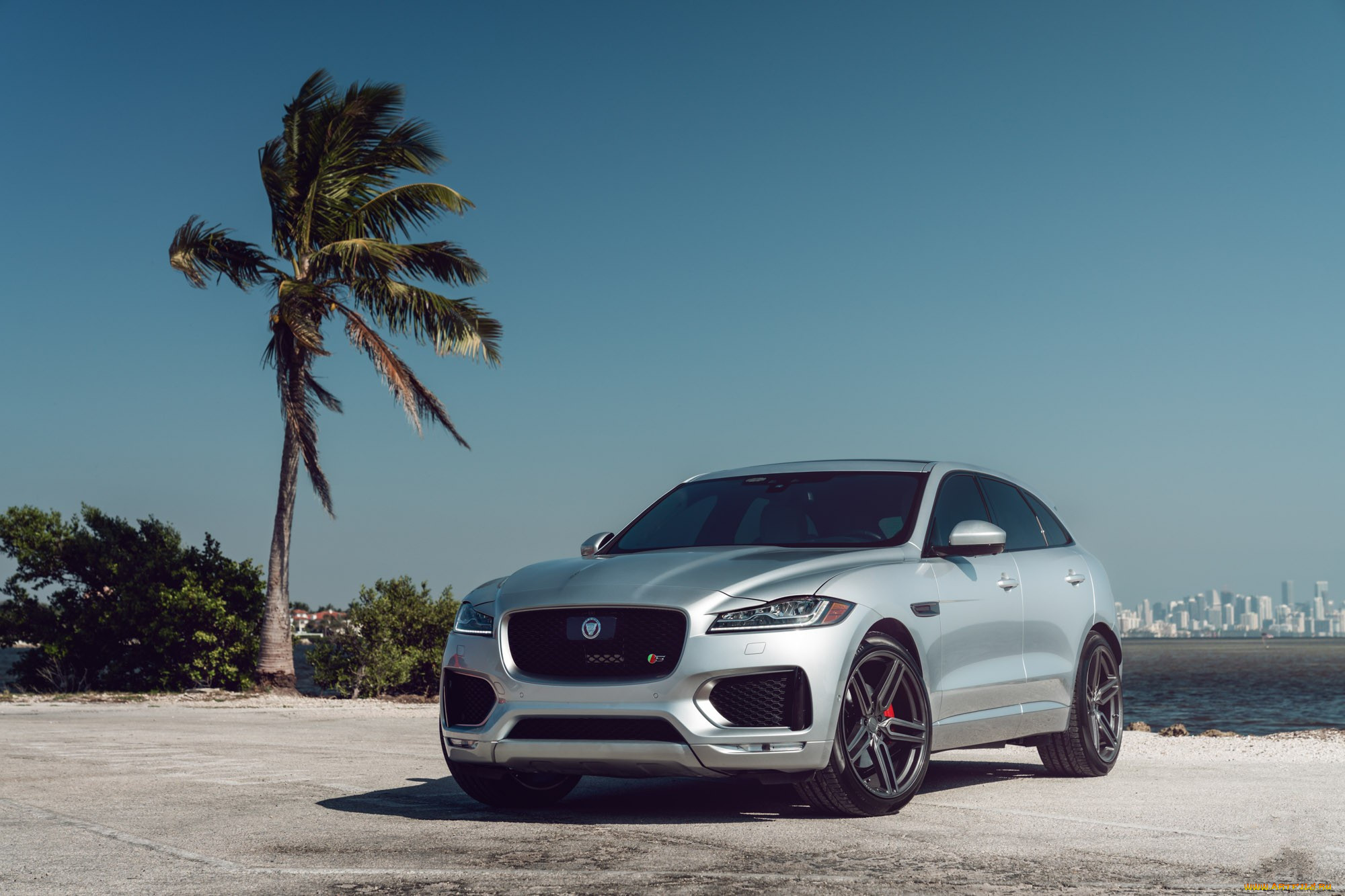 , jaguar, grey, f-pace, s